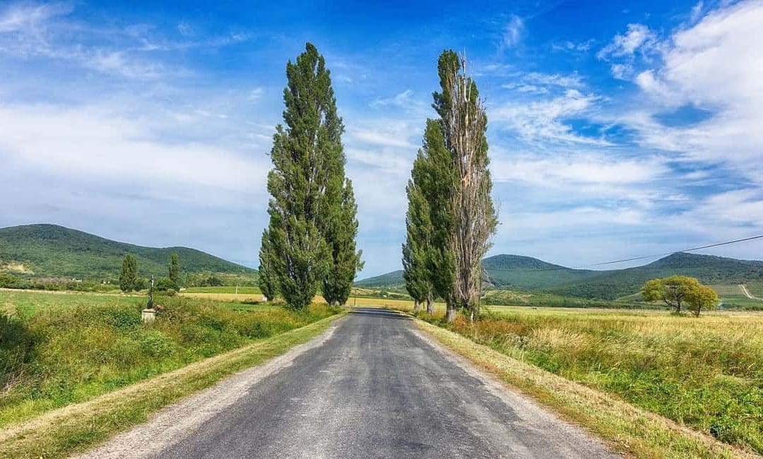 rural hungary