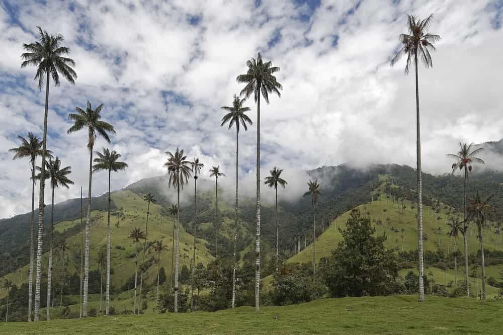 comment obtenir la residency en colombie